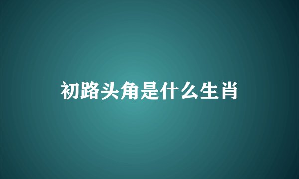 初路头角是什么生肖