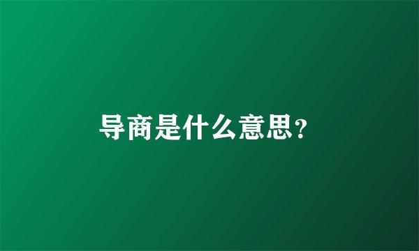 导商是什么意思？