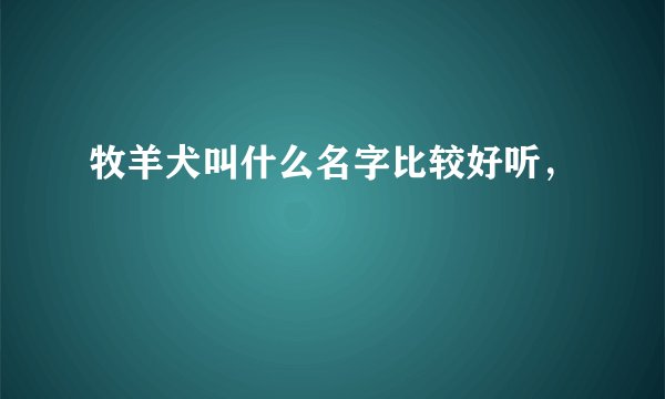 牧羊犬叫什么名字比较好听，