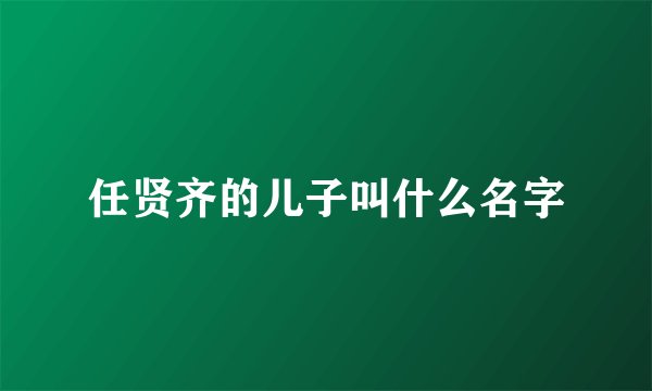 任贤齐的儿子叫什么名字