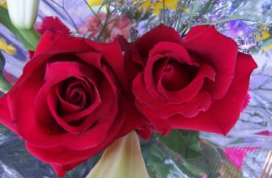 情人节送两朵玫瑰代表什么意思