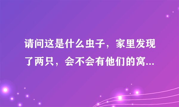 请问这是什么虫子，家里发现了两只，会不会有他们的窝，怎么去除？
