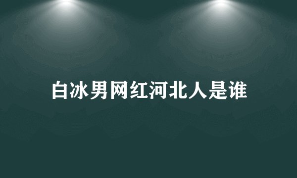 白冰男网红河北人是谁