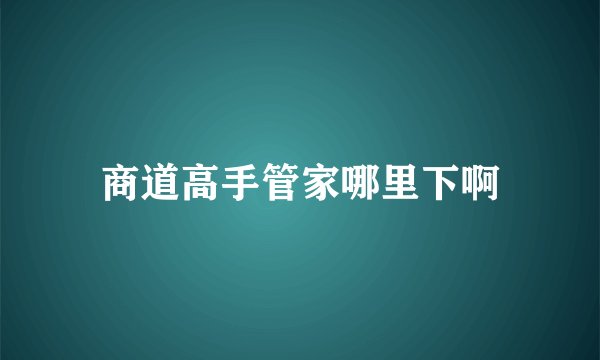 商道高手管家哪里下啊