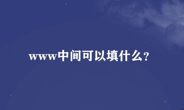 www中间可以填什么？