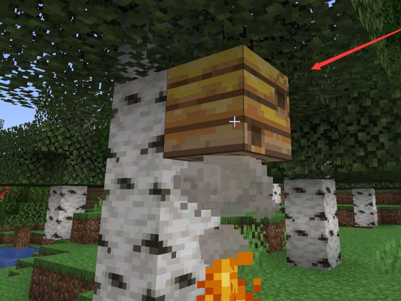 我的世界里的蜂巢在哪里找，况且怎么制作蜂蜜？