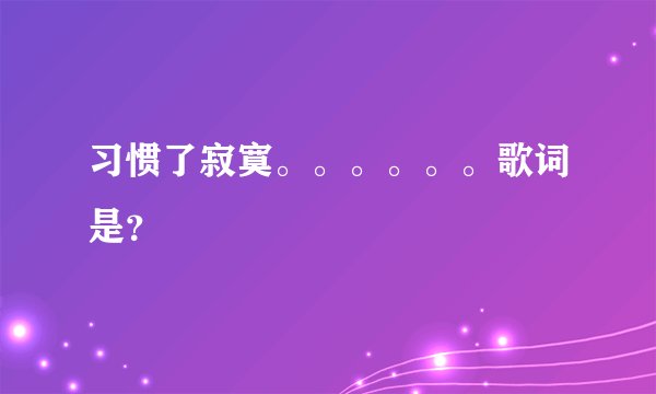 习惯了寂寞。。。。。。歌词是？