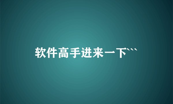 软件高手进来一下```