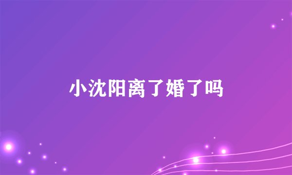 小沈阳离了婚了吗