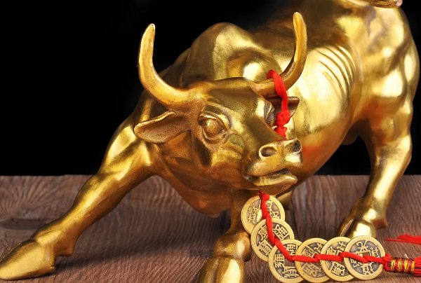 貌不惊人打一个生肖动物