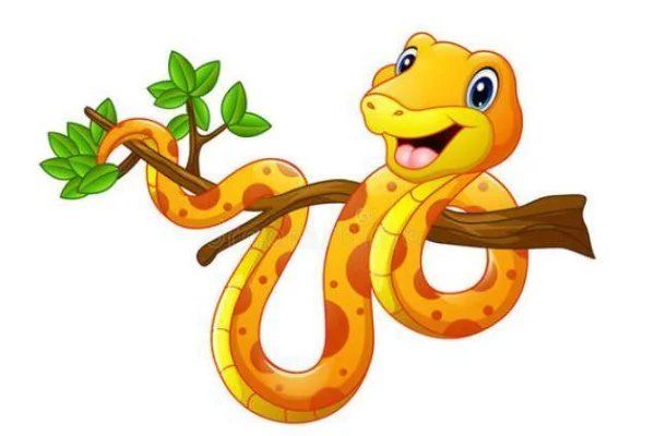 百鸟鸣春指什么生肖动物