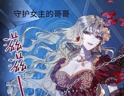 保护女主哥哥的方法