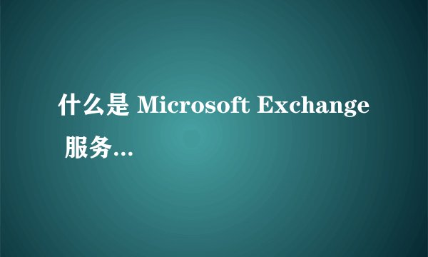 什么是 Microsoft Exchange 服务器帐户？