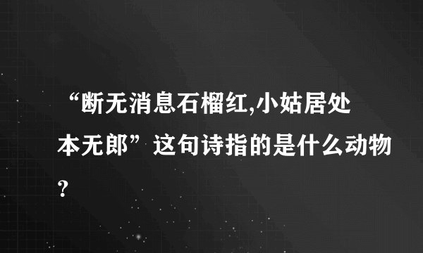 “断无消息石榴红,小姑居处本无郎”这句诗指的是什么动物？
