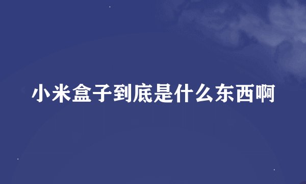小米盒子到底是什么东西啊