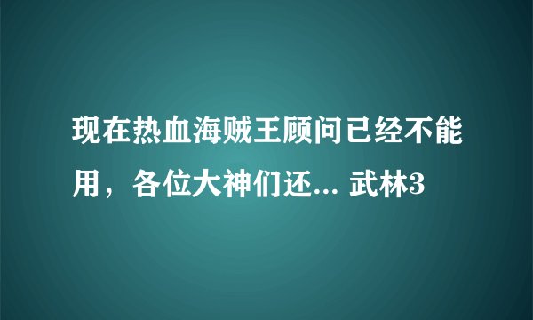 现在热血海贼王顾问已经不能用，各位大神们还... 武林3