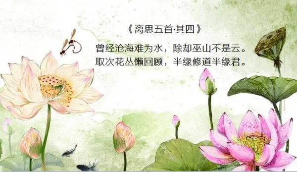 曾经沧海难为水，除却巫山不是云，是什么意思？