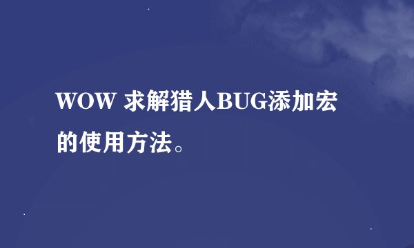 WOW 求解猎人BUG添加宏的使用方法。
