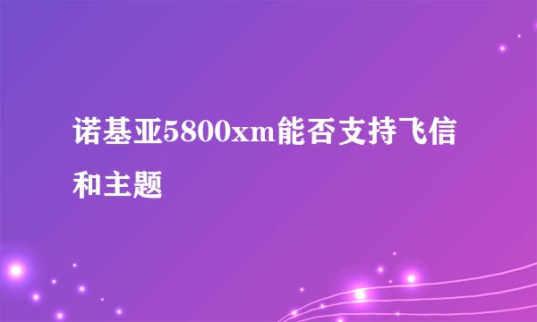诺基亚5800xm能否支持飞信和主题