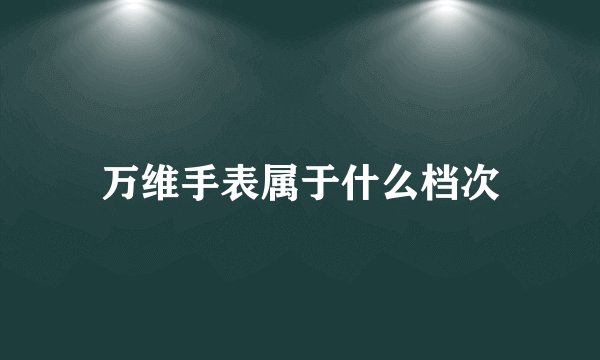 万维手表属于什么档次