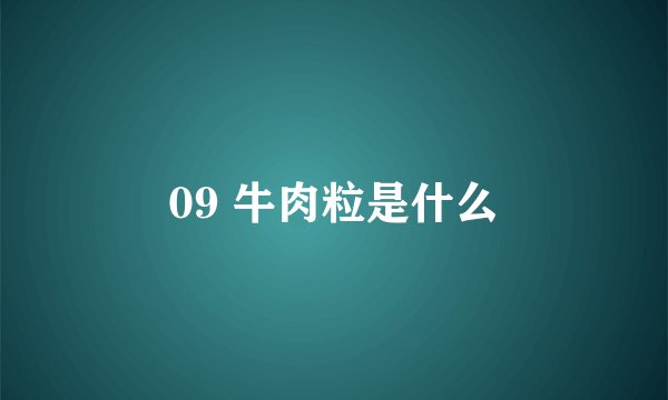 09 牛肉粒是什么