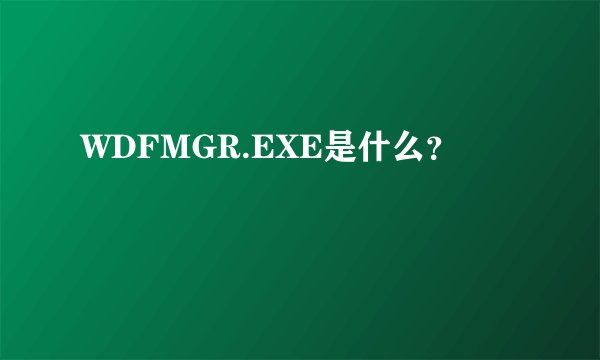 WDFMGR.EXE是什么？
