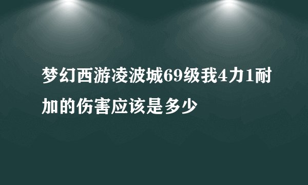 梦幻西游凌波城69级我4力1耐加的伤害应该是多少