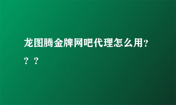 龙图腾金牌网吧代理怎么用？？？