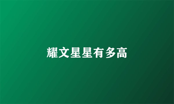 耀文星星有多高