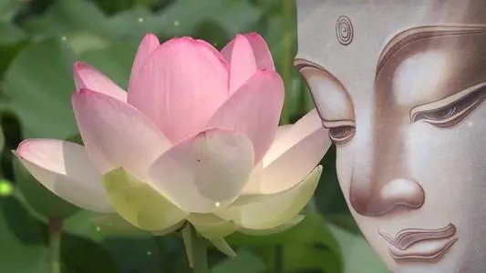 出家人受比丘戒的流程是怎样的？