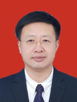 陈挺晨是哪一年出生