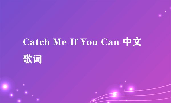 Catch Me If You Can 中文歌词