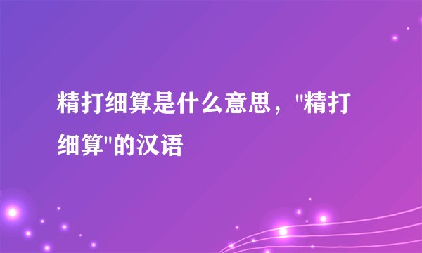 精打细算是什么意思，