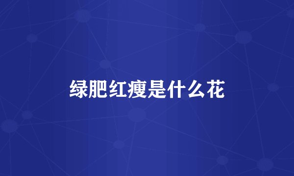 绿肥红瘦是什么花