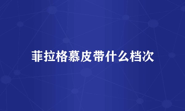 菲拉格慕皮带什么档次