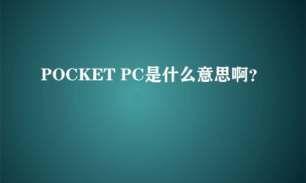 POCKET PC是什么意思啊？