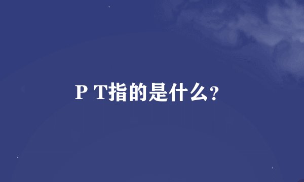 P T指的是什么？