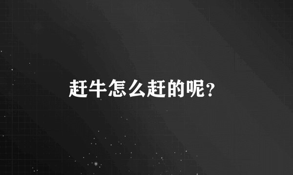 赶牛怎么赶的呢？