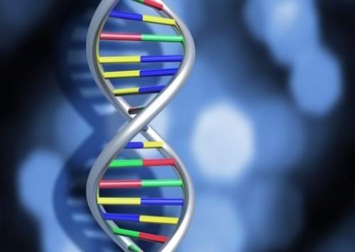 什么是反应动力学