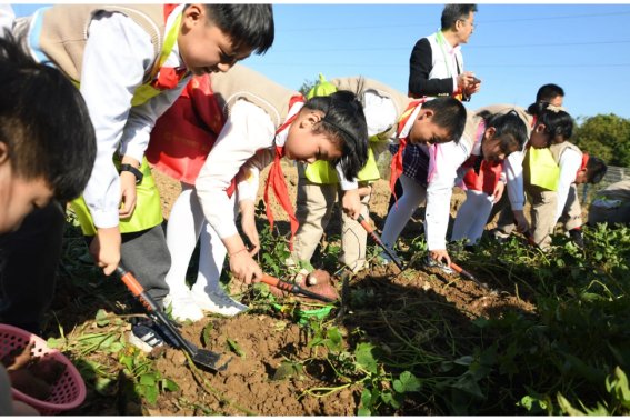 劳动节的英文是什么