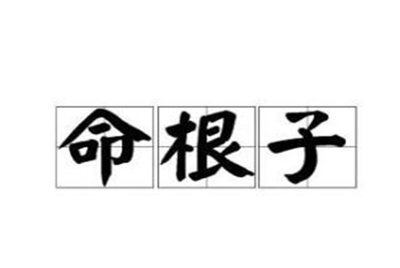 命根子是什么意思