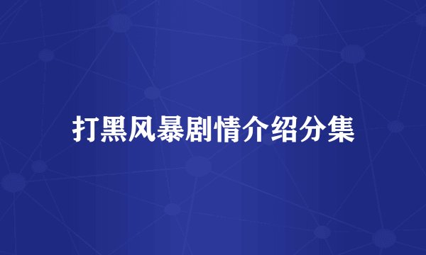 打黑风暴剧情介绍分集