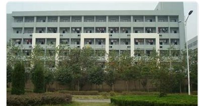 南阳市招生办电话