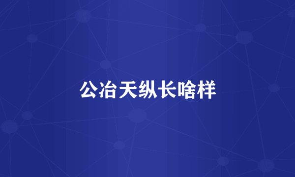 公冶天纵长啥样
