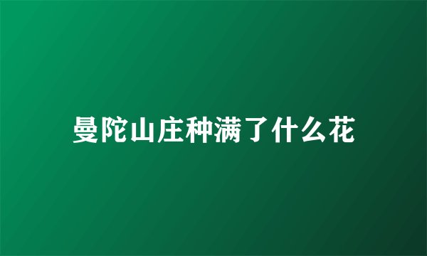 曼陀山庄种满了什么花