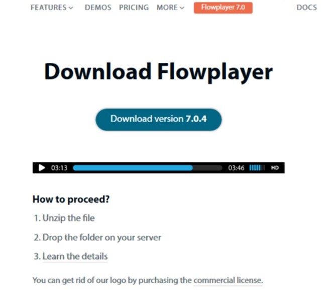 flowplayer什么意思