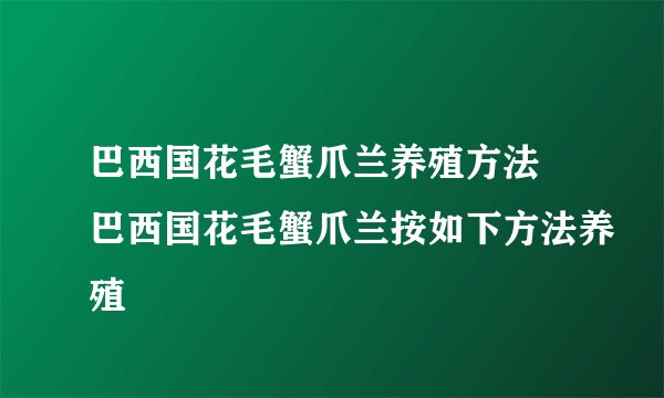 巴西国花毛蟹爪兰养殖方法 巴西国花毛蟹爪兰按如下方法养殖