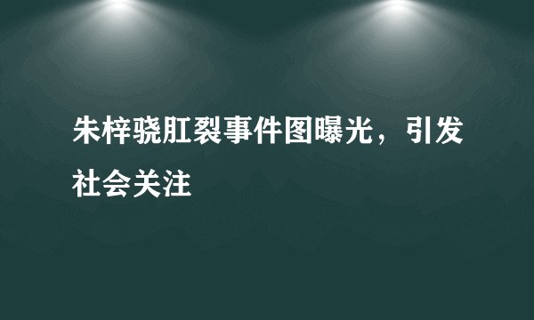 朱梓骁肛裂事件图曝光，引发社会关注