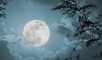 月夜这首诗表现了杜甫的什么感情？