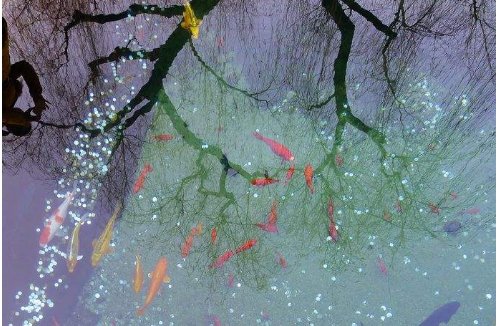 临渊羡鱼下一句是什么?